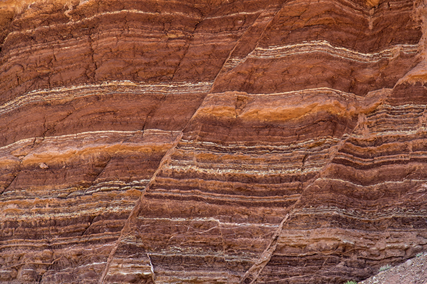 Sedimentology&Stratigraphy OPT