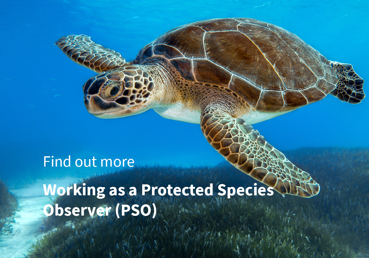 MFO&PSO Discipline Subject Area Cards 13