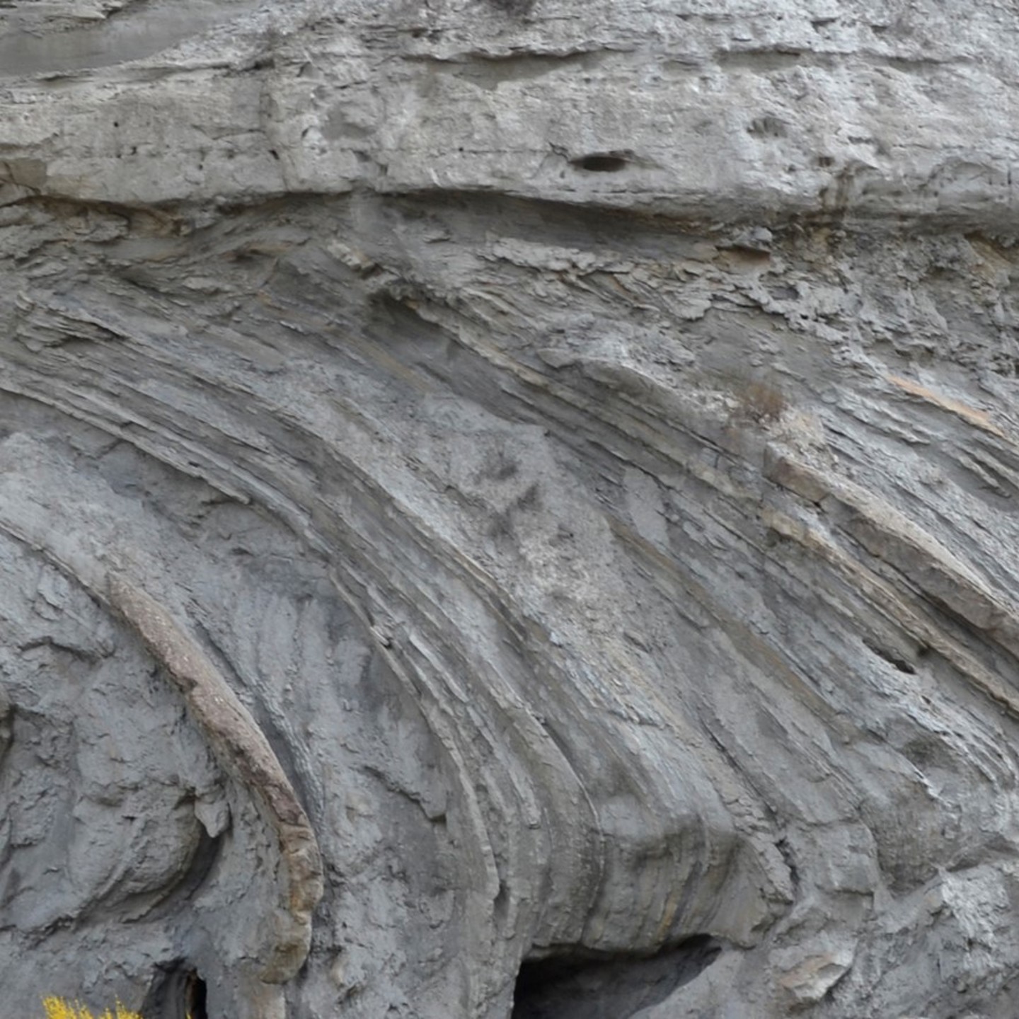 N483a: Deepwater Stratigraphy and Facies Analysis from Seismic, Well Data and Outcrops