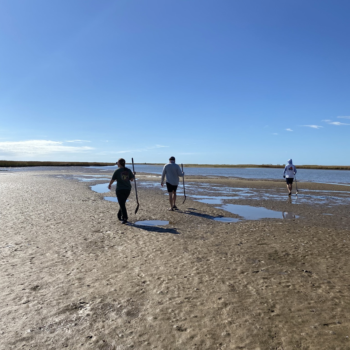 N670a: Fluvial and Coastal Clastic Depositional Environments