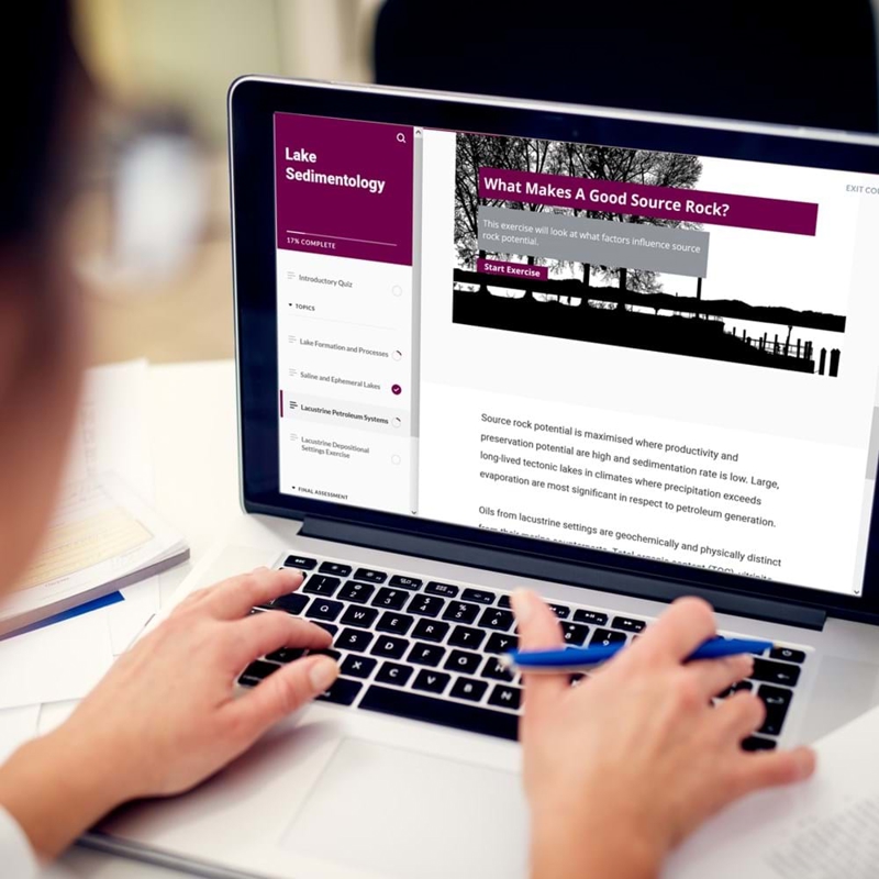 Person viewing e-learning on laptop